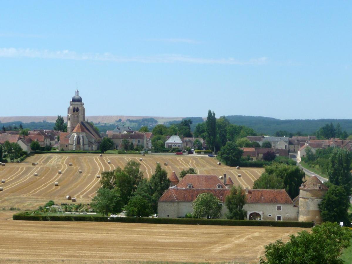 Château de Ribourdin Chevannes  Exterior foto